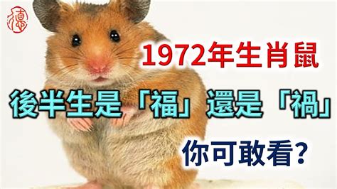 1972年生肖